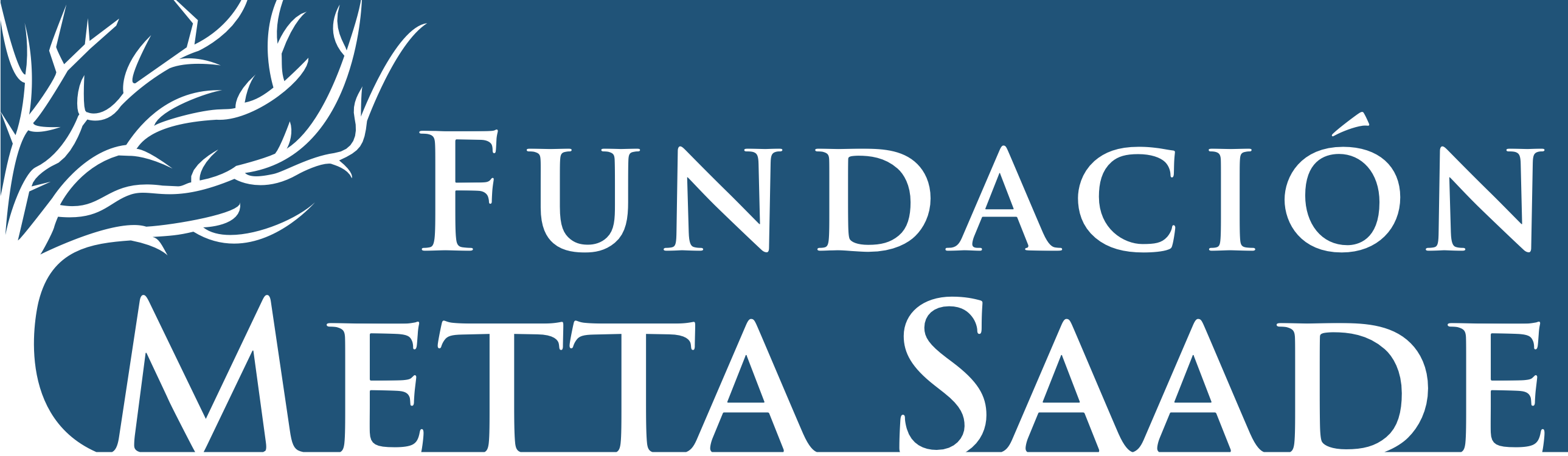 Fundación Metta Saade